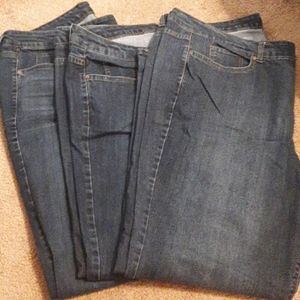 3 pair of Bandolino Jeans